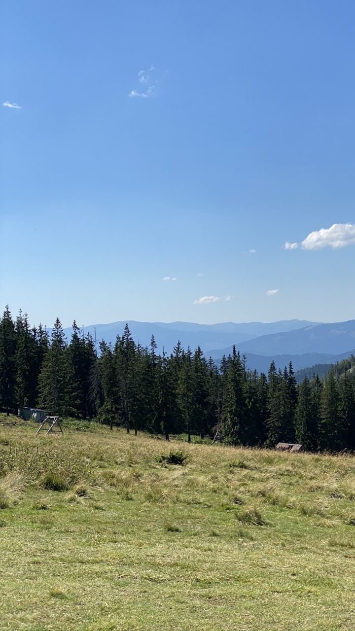 Обои данвилл, St Clair Townhip, земельный участок, товарооборот, недвижимость в разрешении 720x1280