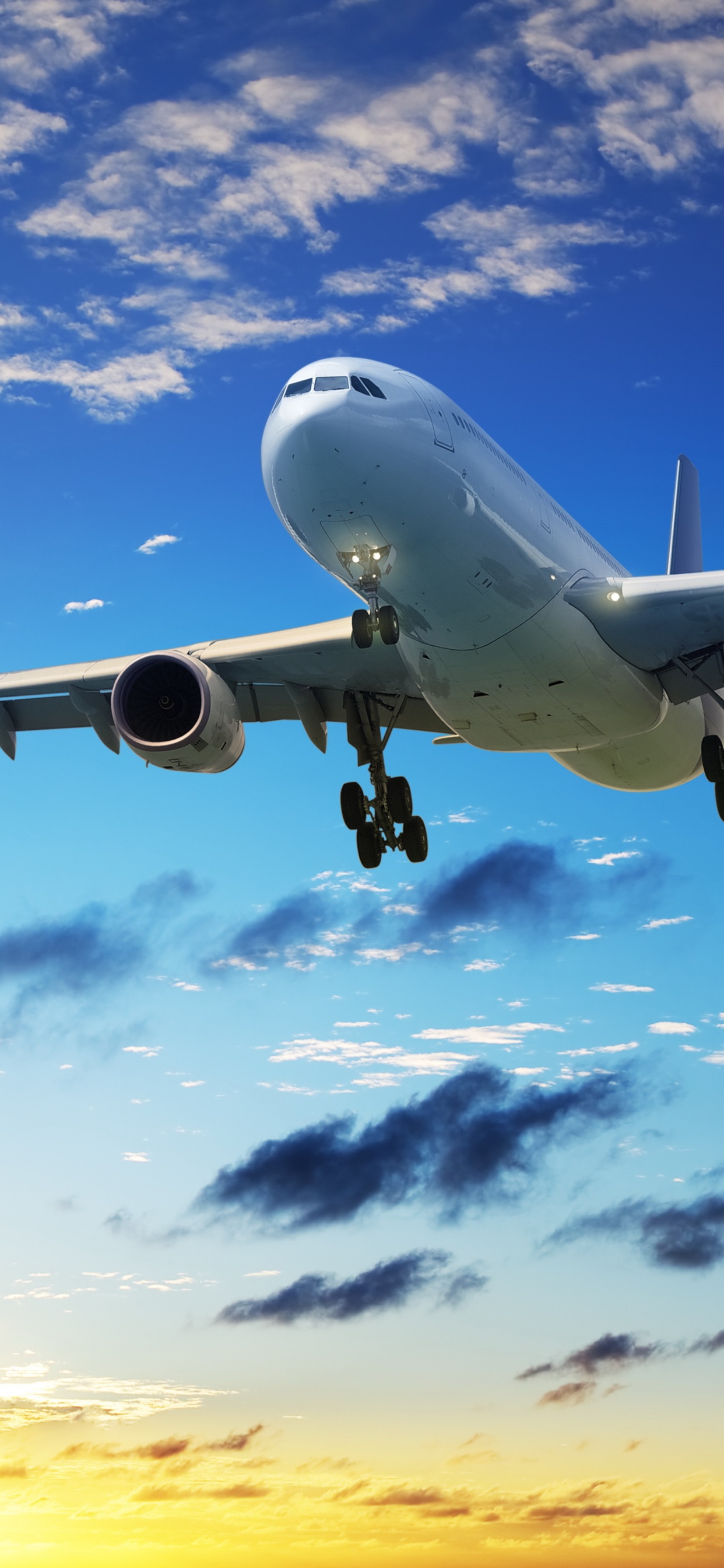 Обои авиалайнер, воздушное путешествие, авиакомпания, авиация, аэрокосмическая техника в разрешении 1242x2688