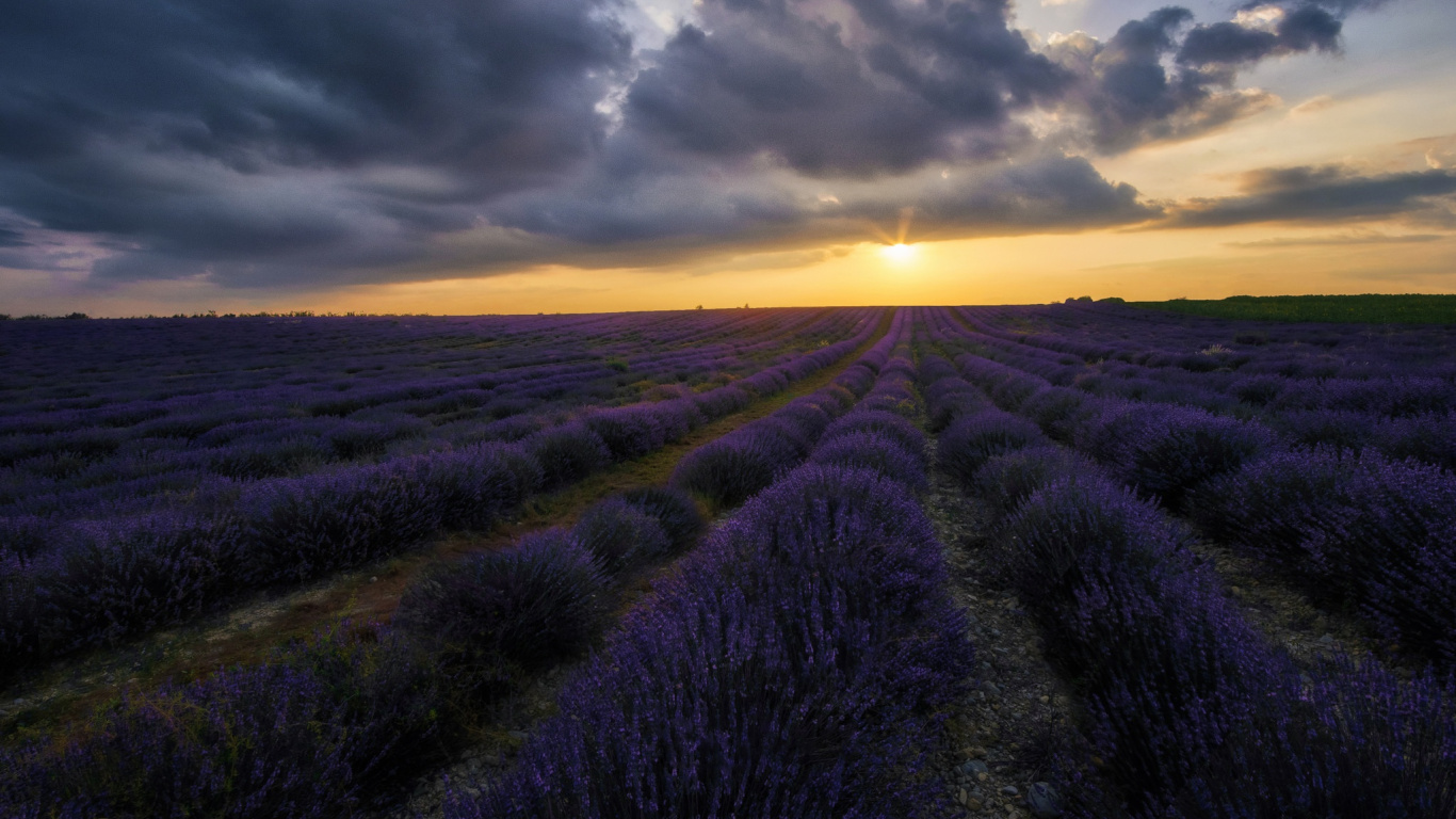 Обои рассвет, закат, утро, облако, восход солнца в разрешении 1366x768