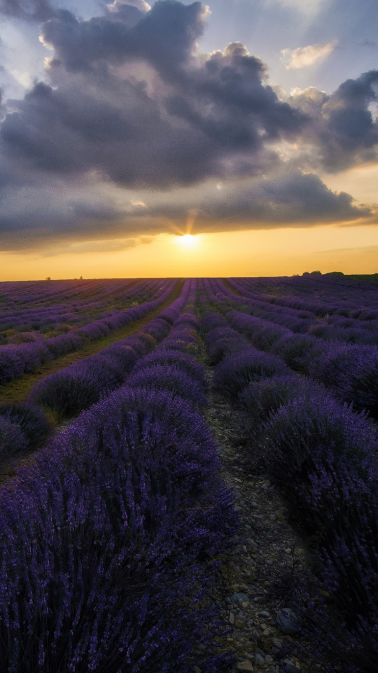 Обои рассвет, закат, утро, облако, восход солнца в разрешении 750x1334