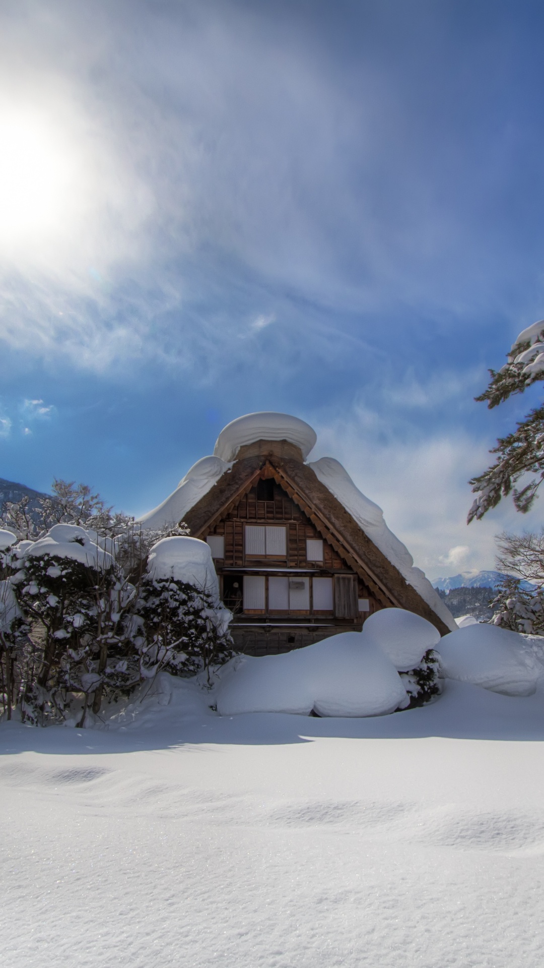 Обои снег, зима, гора, замораживание, дерево в разрешении 1080x1920