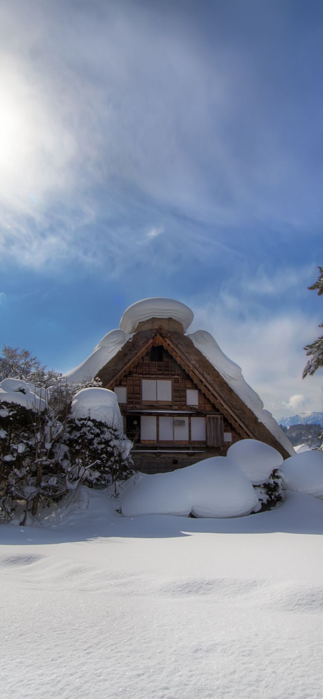 Обои снег, зима, гора, замораживание, дерево в разрешении 1125x2436