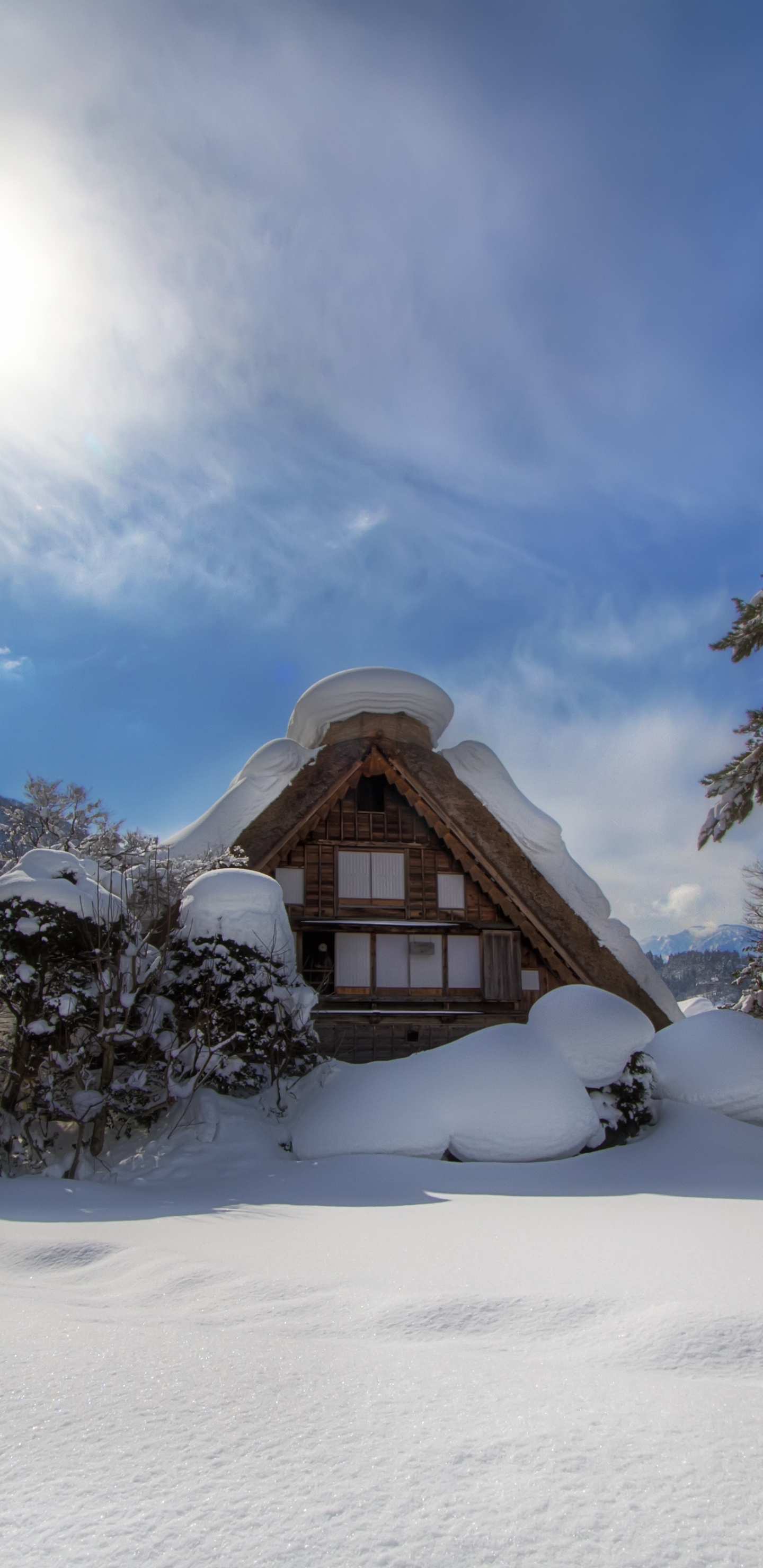 Обои снег, зима, гора, замораживание, дерево в разрешении 1440x2960