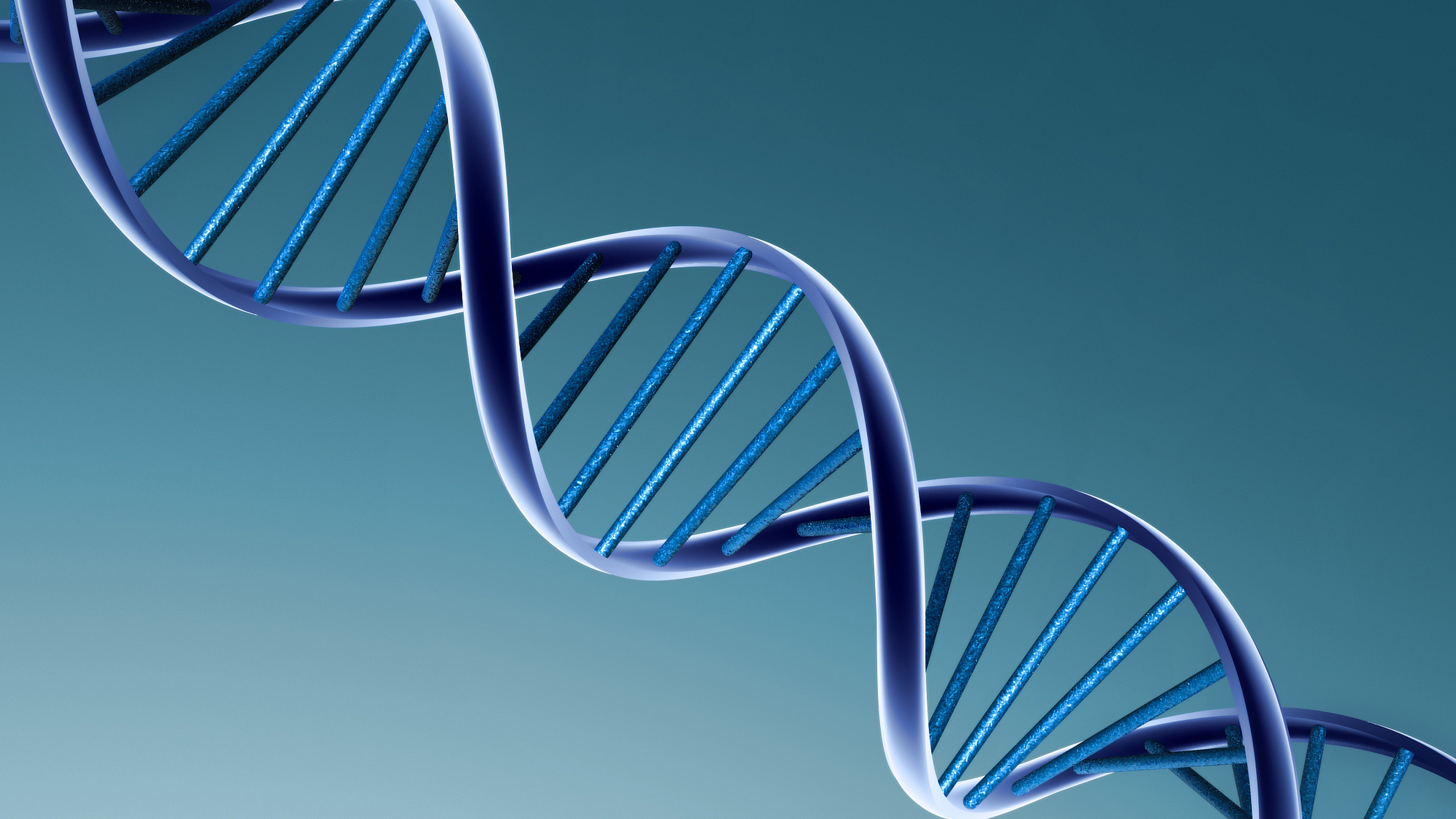 Обои Нуклеиновых кислот двойная спираль, ДНК, синий, структура, линия в разрешении 2560x1440