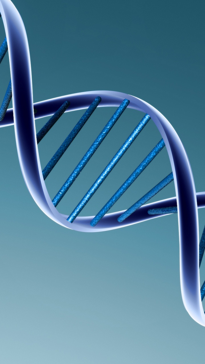 Обои Нуклеиновых кислот двойная спираль, ДНК, синий, структура, линия в разрешении 720x1280