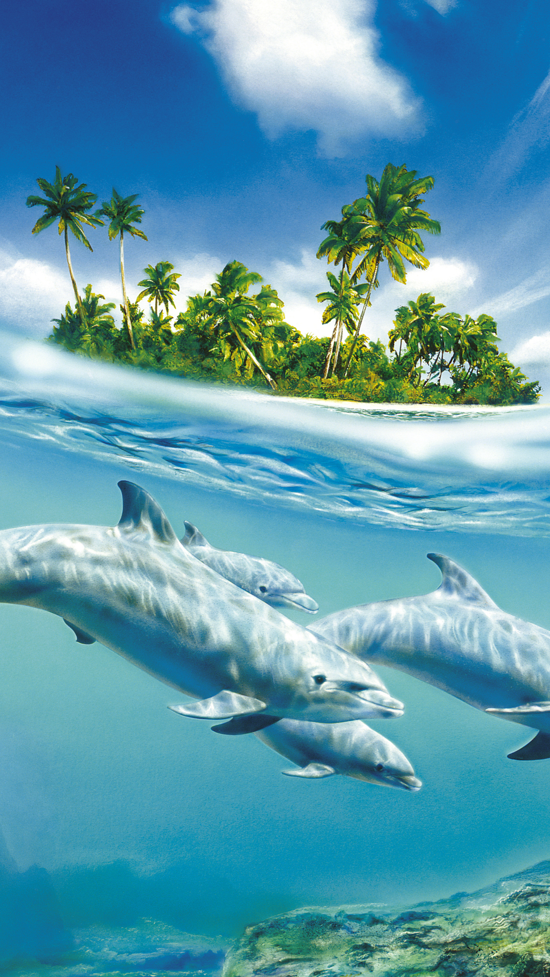 Обои дельфин в воде, Дельфин, вода, море, облако в разрешении 1080x1920
