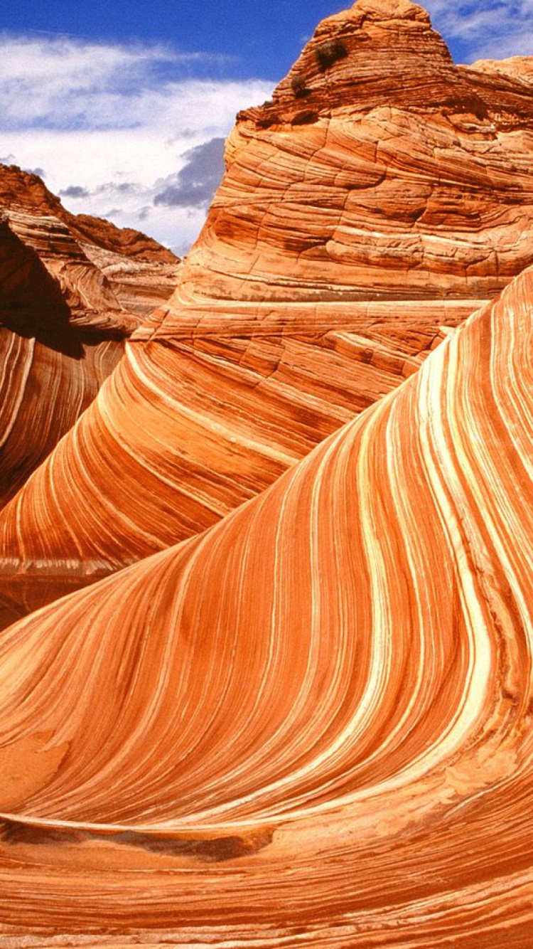 Обои Койот-Бют волны, Койот Бют, Центр для посетителей Канаб БЛМ, плато Колорадо, Река Пария в разрешении 750x1334