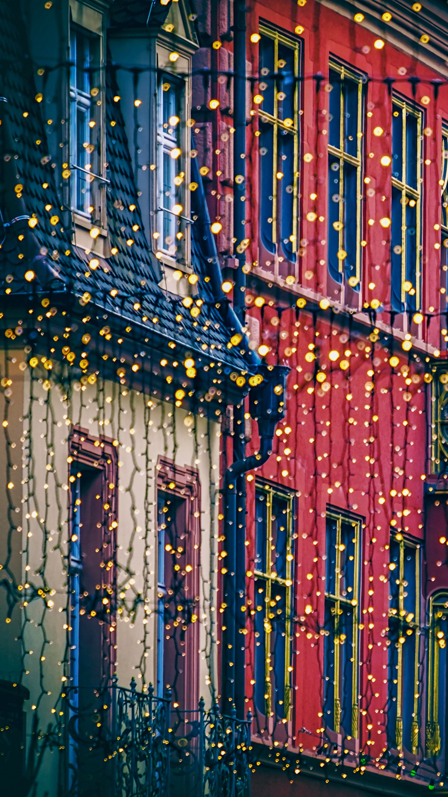 Обои Рождественский день, Рождественские огни, Рождество и курортный сезон, елка, синий в разрешении 1440x2560