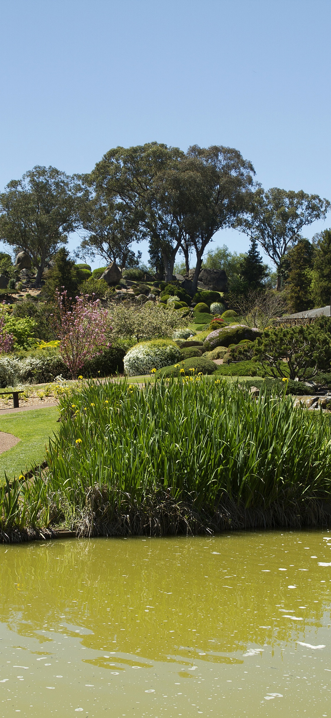 Обои природа, Ботанический сад, японский сад, сад, пейзаж в разрешении 1125x2436