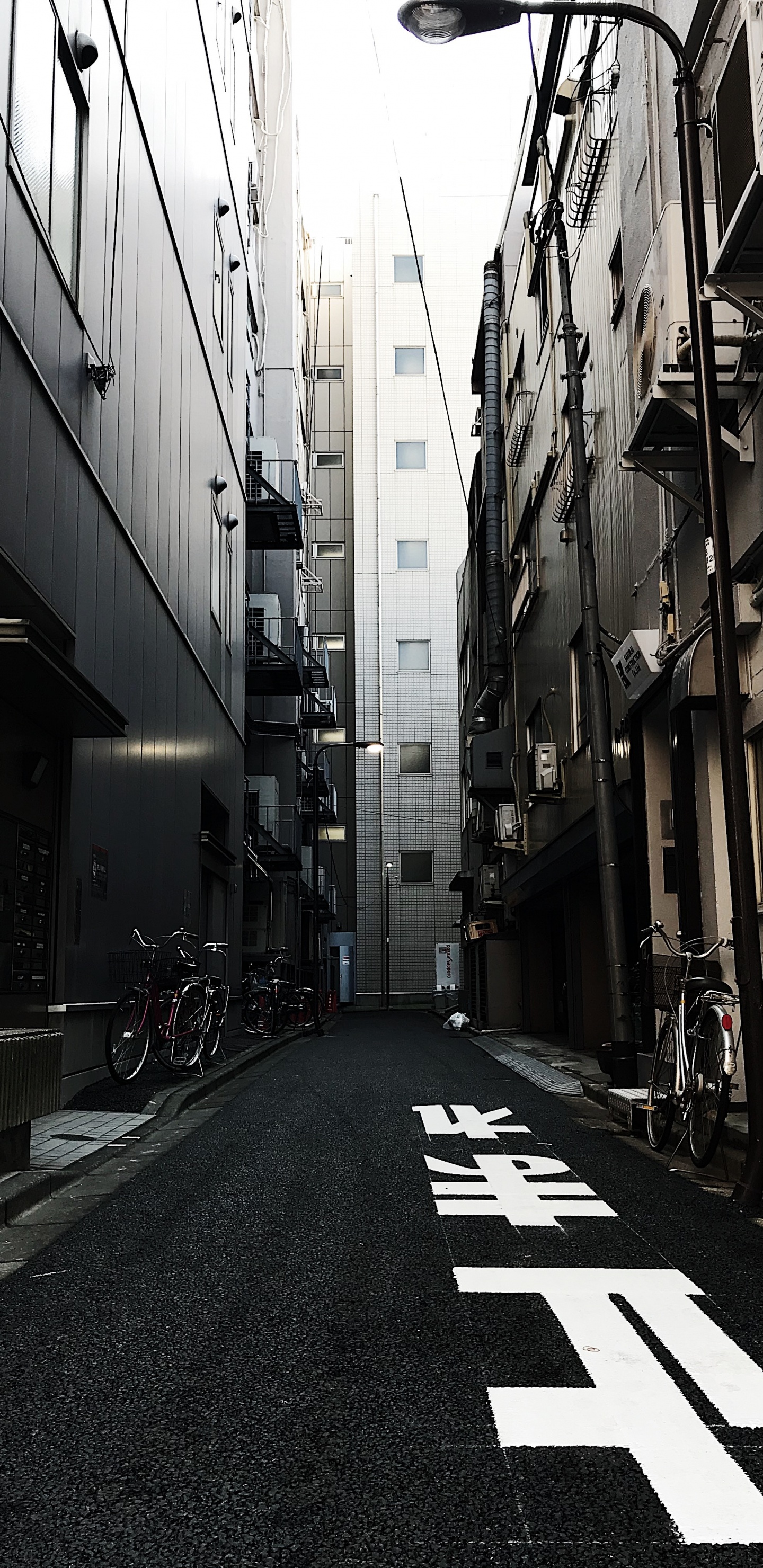 Обои аллея, улица, дорога, белые, переулок в разрешении 1440x2960