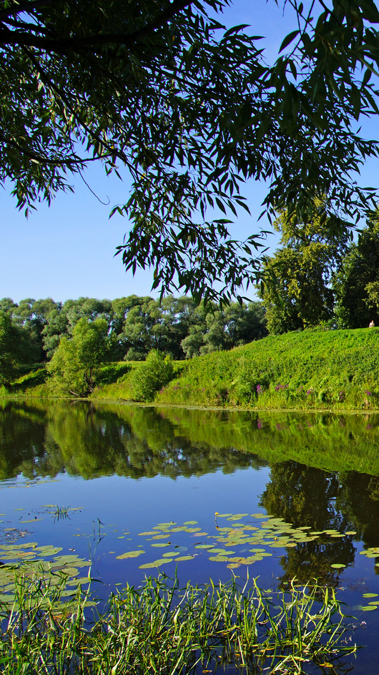 Обои Суздаль, природа, город, отражение, вода в разрешении 750x1334