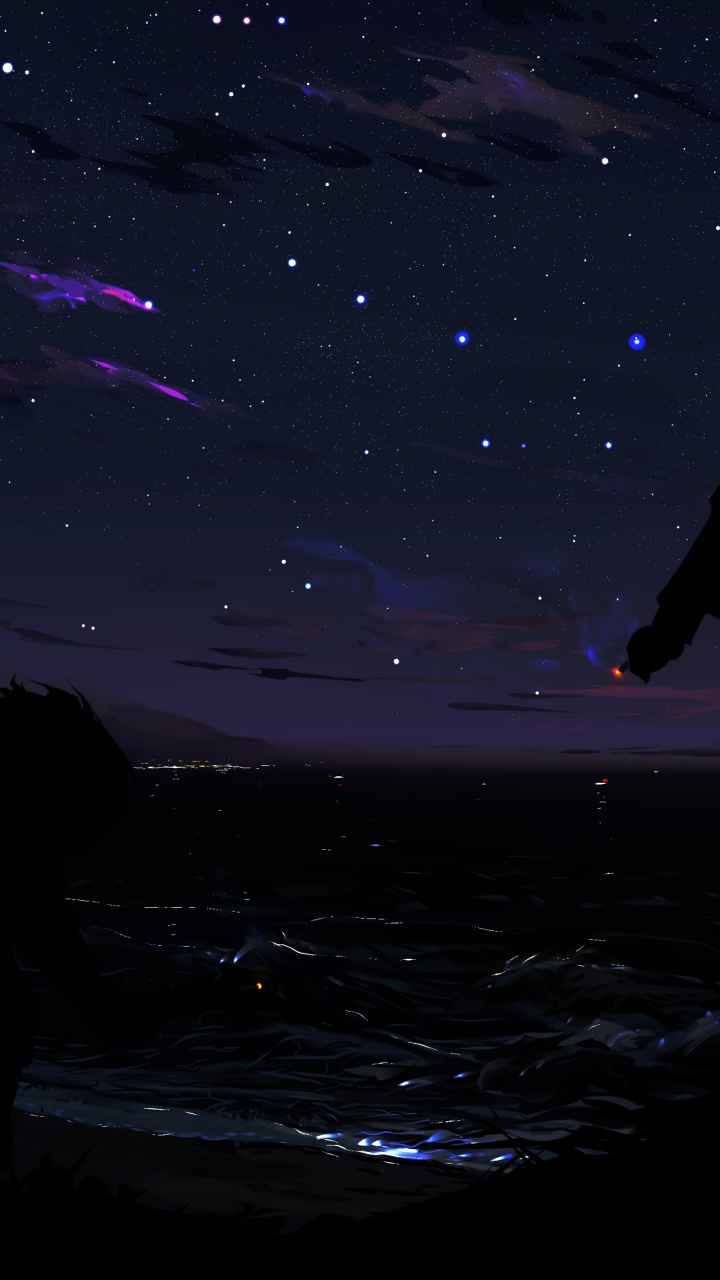 Обои аниме, аниме арт, силуэт, живопись, атмосфера в разрешении 720x1280