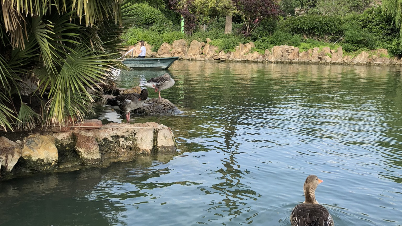 Обои отражение, гидроресурсы, вода, Банк, водоток в разрешении 1280x720