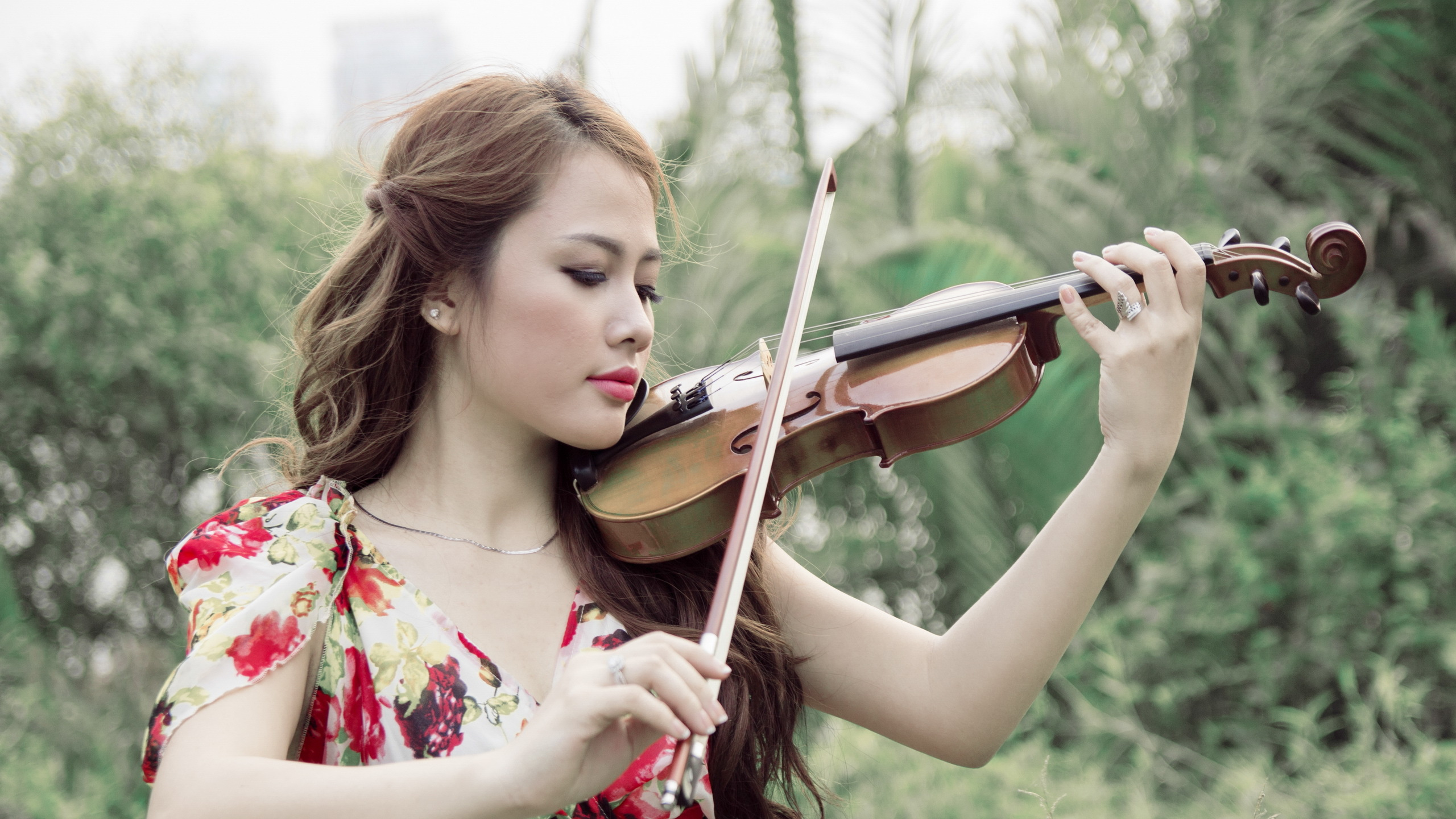 Обои скрипка, скрипач, альтист, скрипка семья, музыкальный инструмент в разрешении 2560x1440