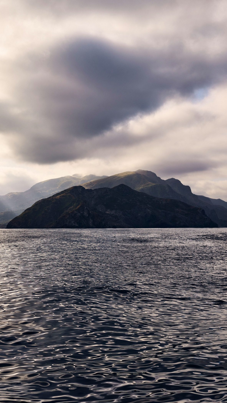 Обои apple, iPhone, macOS Catalina, яблоко, ios в разрешении 750x1334