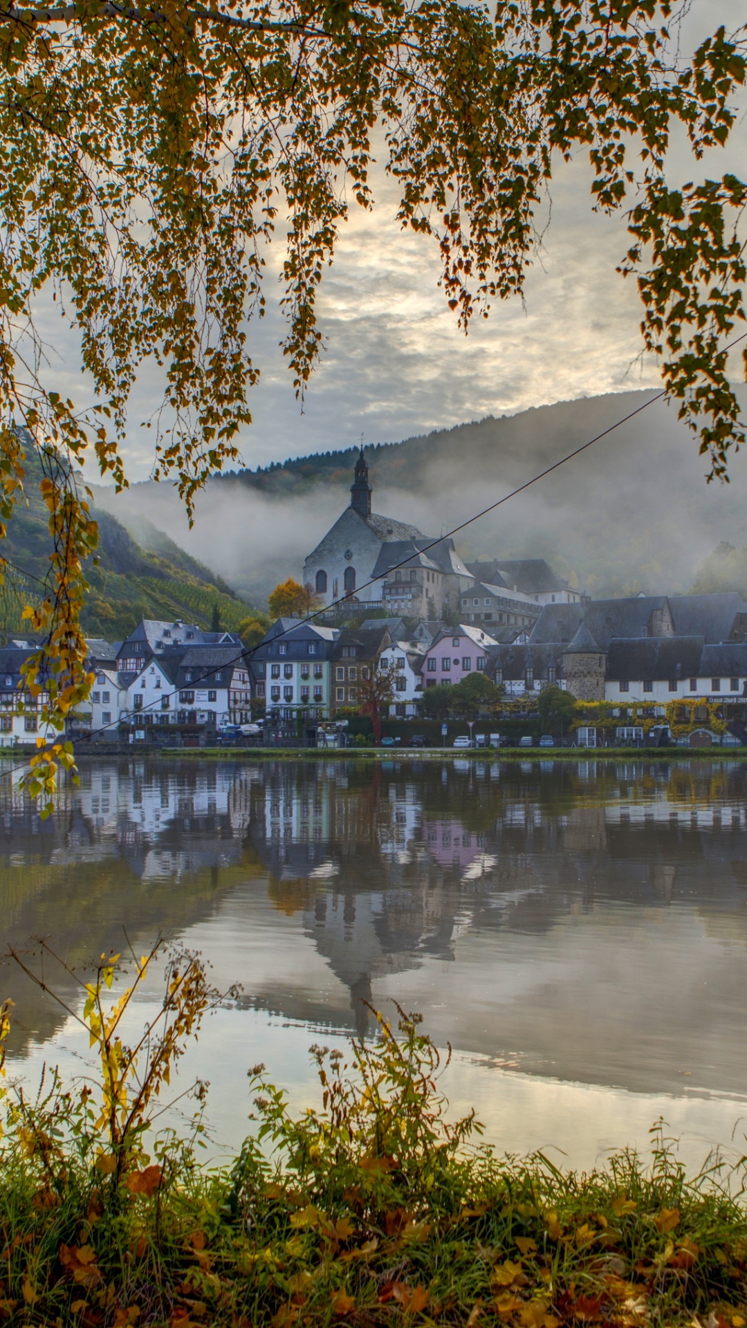 Обои береза, дерево, отражение, природа, вода в разрешении 1080x1920