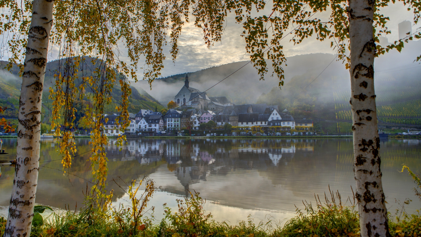 Обои береза, дерево, отражение, природа, вода в разрешении 1366x768