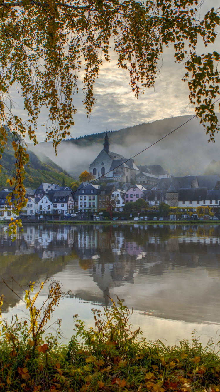 Обои береза, дерево, отражение, природа, вода в разрешении 750x1334