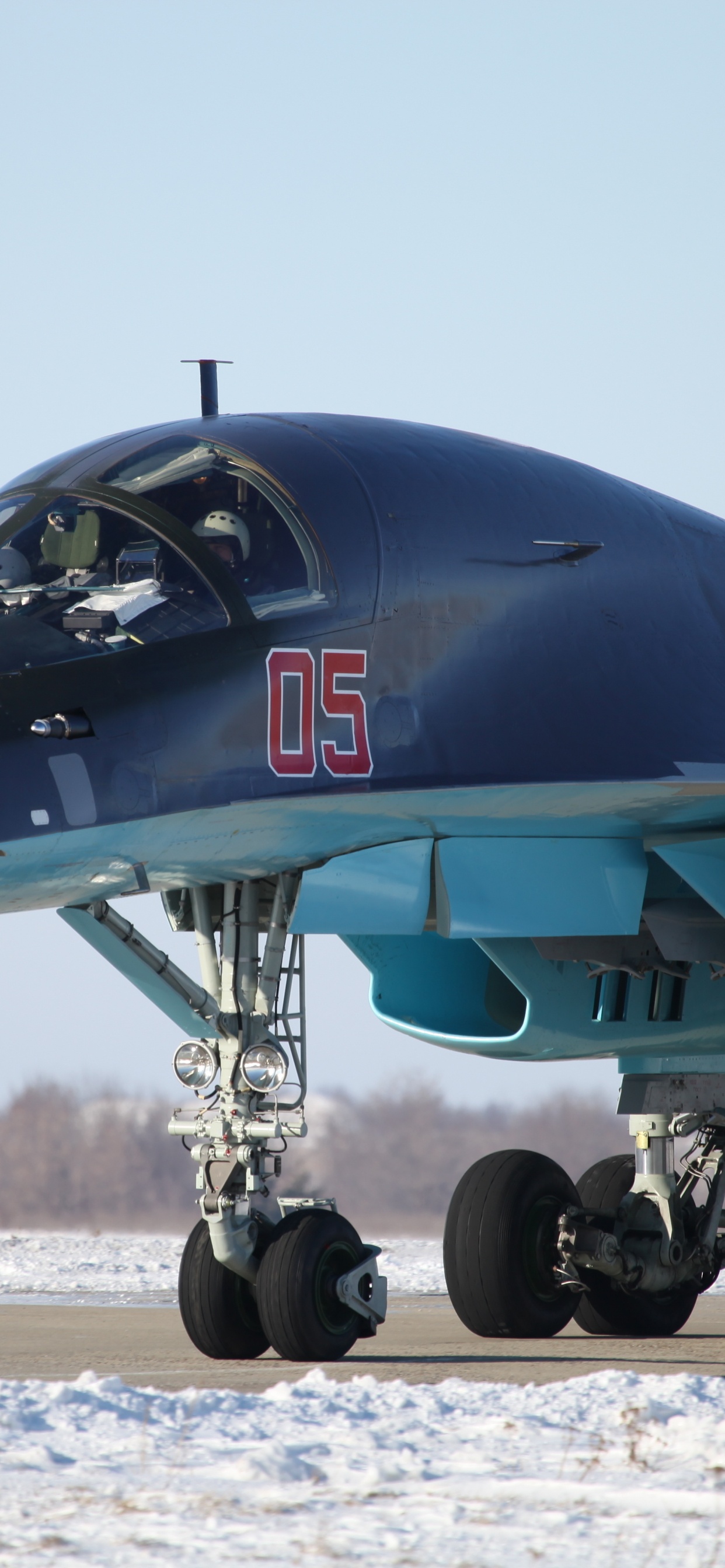 Обои Су 34, военный самолет, сухой, самолеты, самолет в разрешении 1242x2688