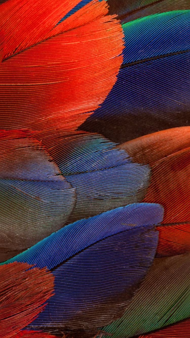 Обои huawei mate 30 pro, huawei mate 30, huawei mate 20 x, huawei mate 20 pro, Huawei Партнера 8 в разрешении 750x1334