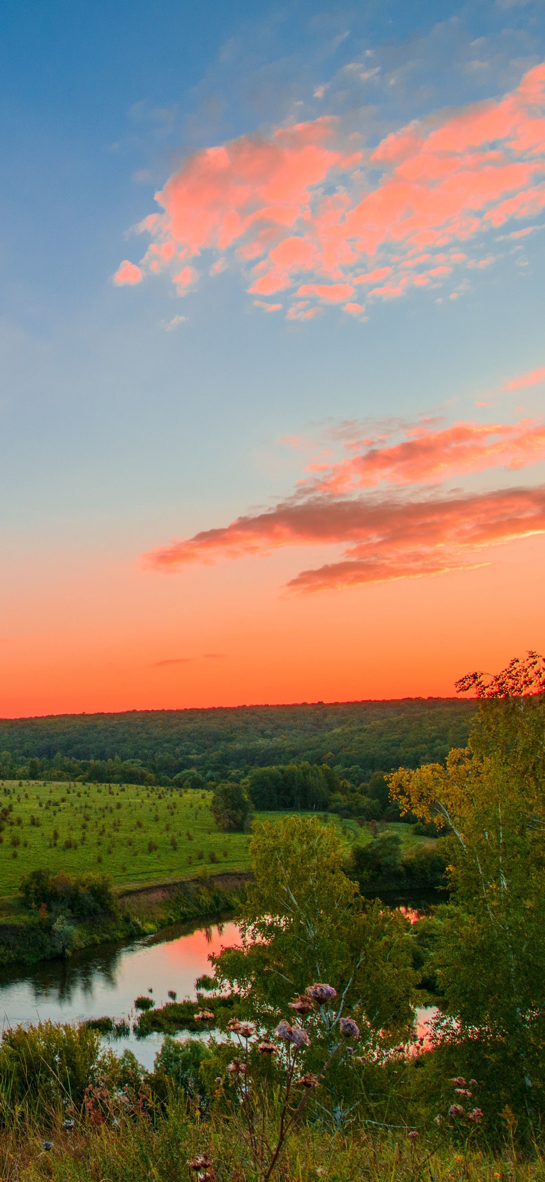 Обои природа, облако, горизонт, утро, небо в разрешении 1125x2436