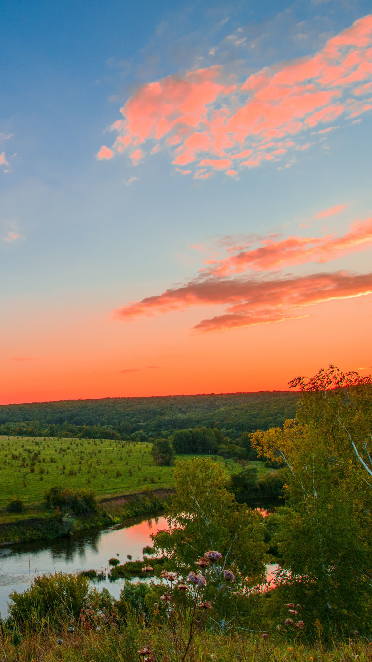 Обои природа, облако, горизонт, утро, небо в разрешении 750x1334