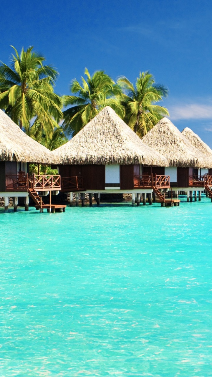 Обои тропическая зона, отпуск, Карибский бассейн, Лагуна, прибежище в разрешении 720x1280