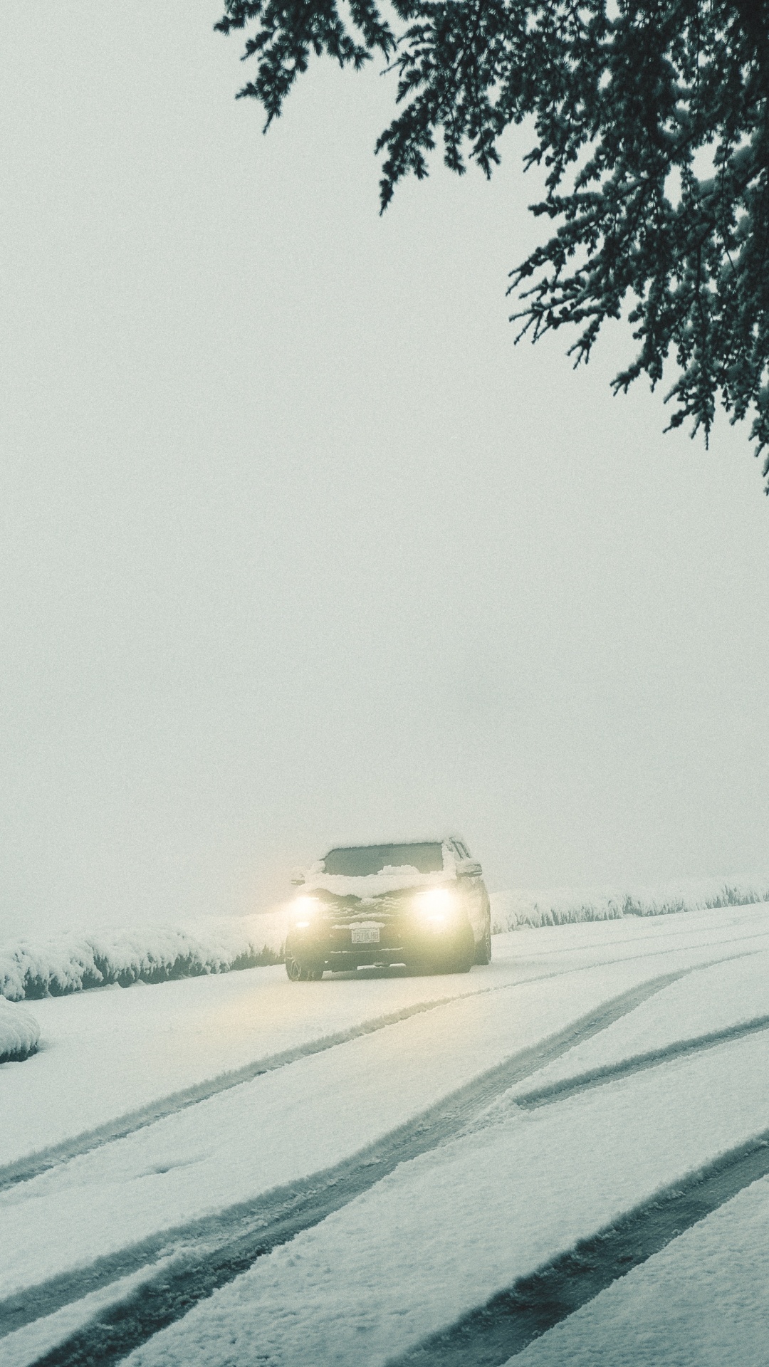 Обои авто, снег, зима, зимний шторм, метель в разрешении 1080x1920