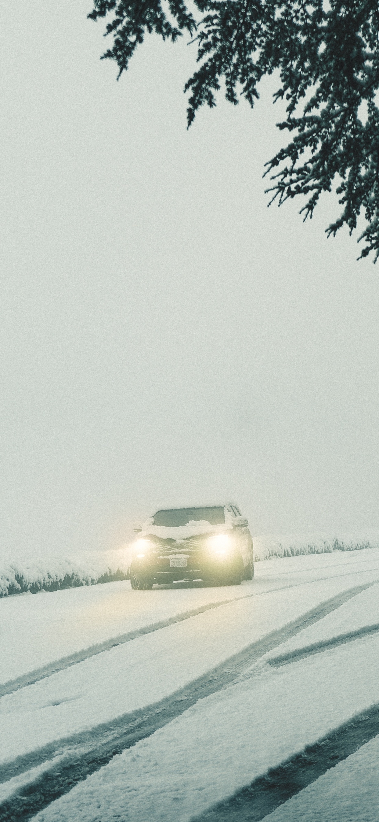 Обои авто, снег, зима, зимний шторм, метель в разрешении 1242x2688