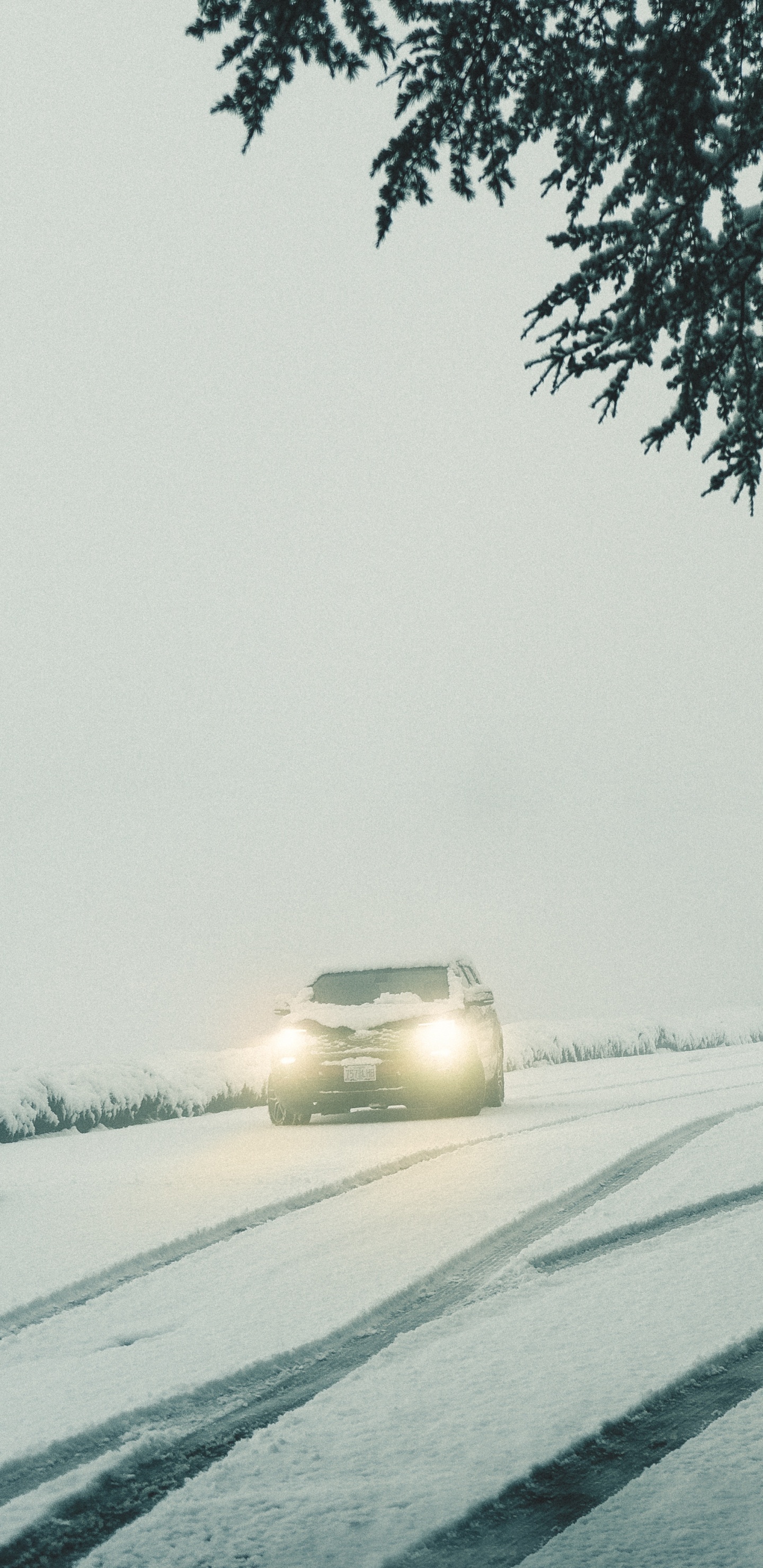 Обои авто, снег, зима, зимний шторм, метель в разрешении 1440x2960