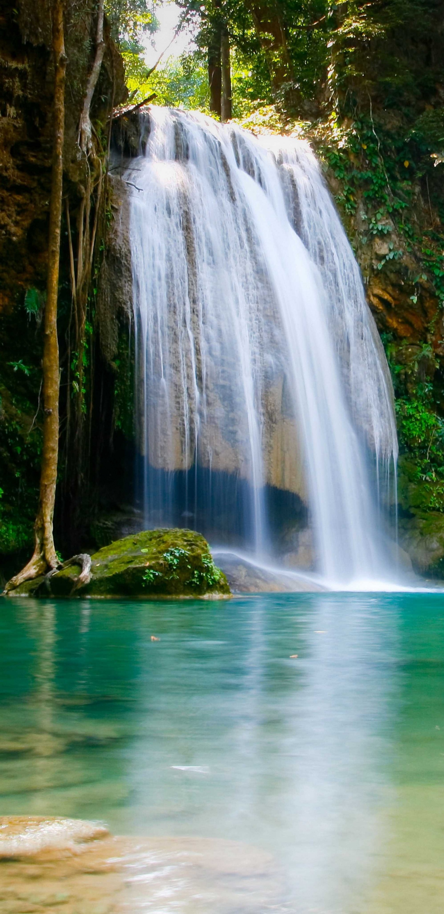 Обои водопад, водоем, гидроресурсы, природный ландшафт, природа в разрешении 1440x2960