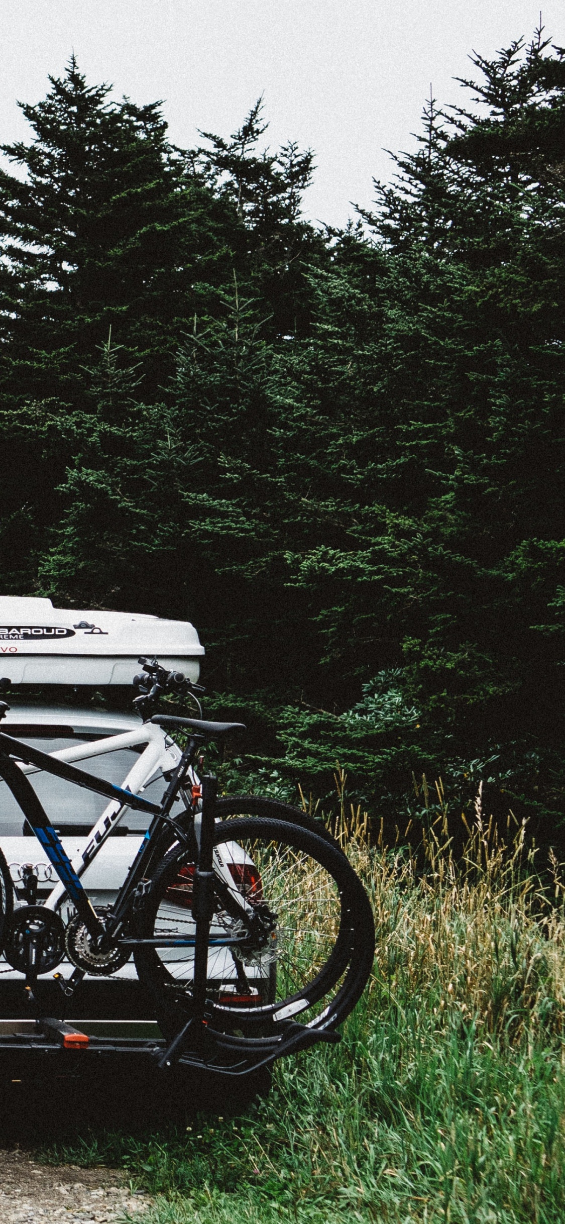 Обои путешествие, велосипед, природа, путешествия, автомобиль в разрешении 1125x2436