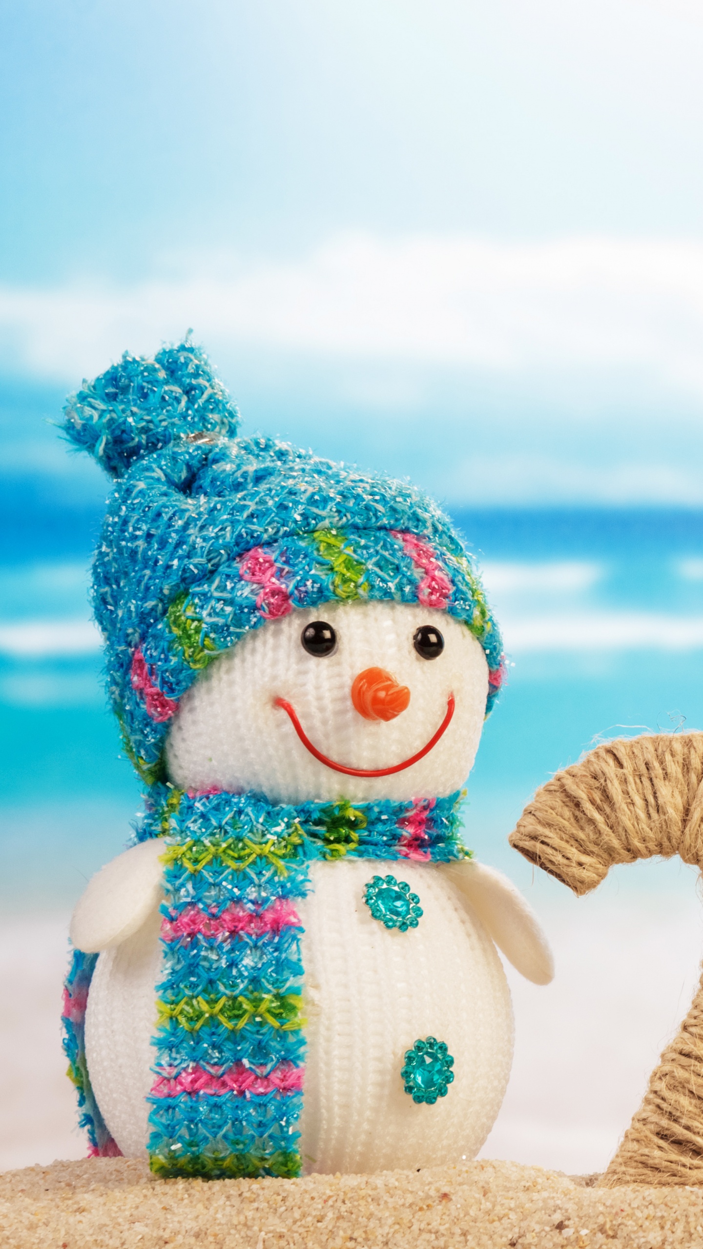 Обои Новый год, день нового года, Снеговик, праздник, отпуск в разрешении 1440x2560