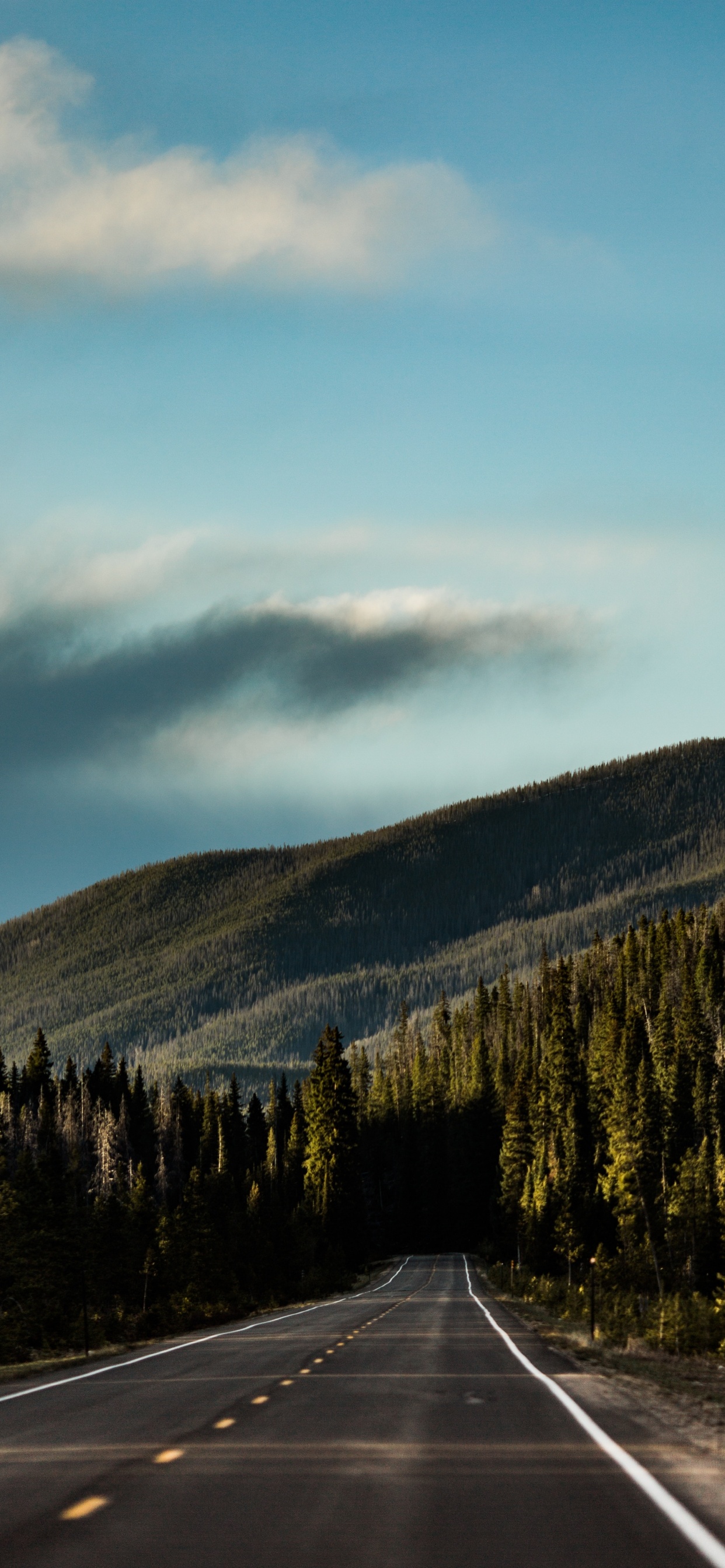 Обои нагорье, облако, гора, горный рельеф, шкура в разрешении 1242x2688