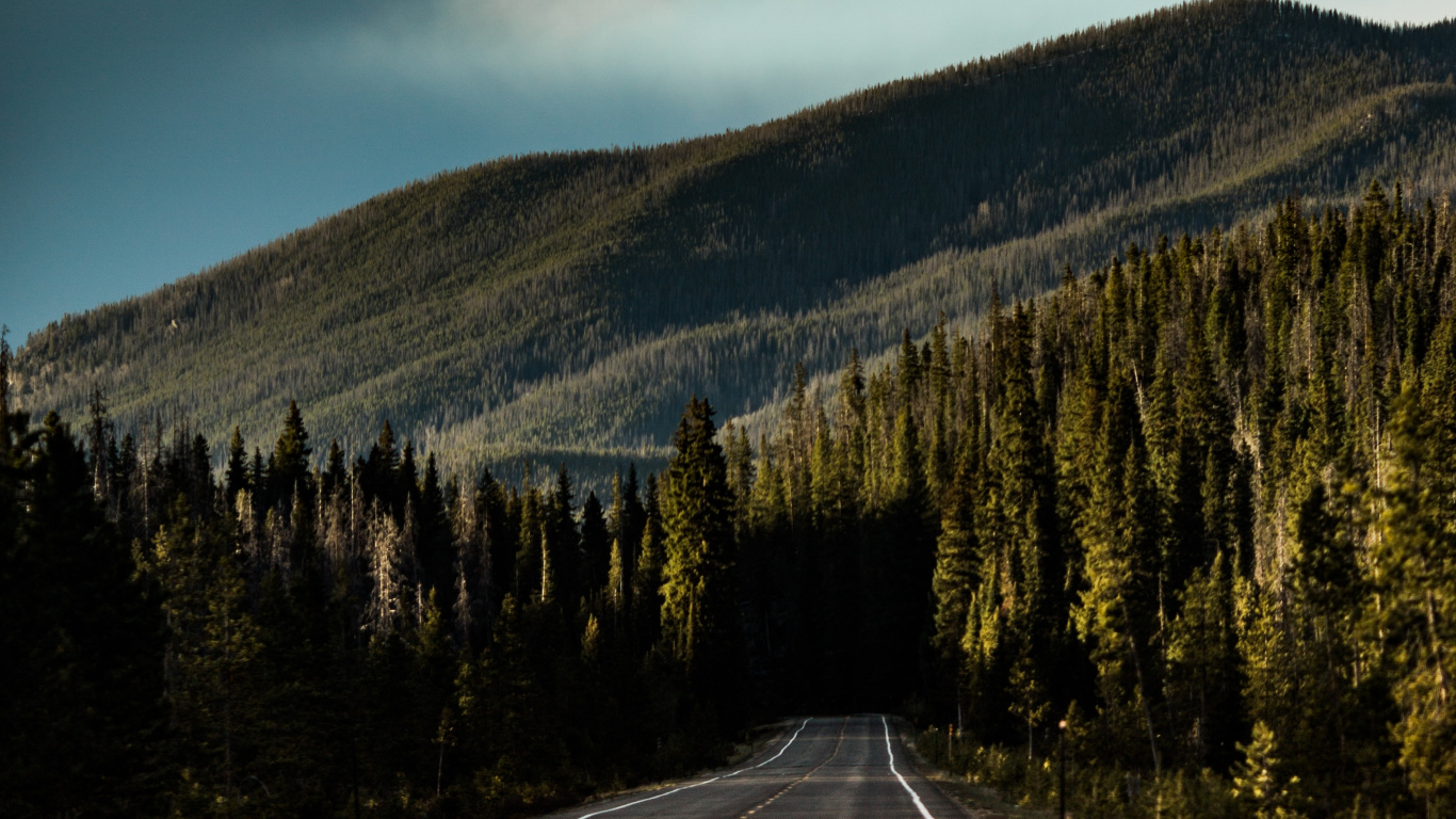 Обои нагорье, облако, гора, горный рельеф, шкура в разрешении 1366x768