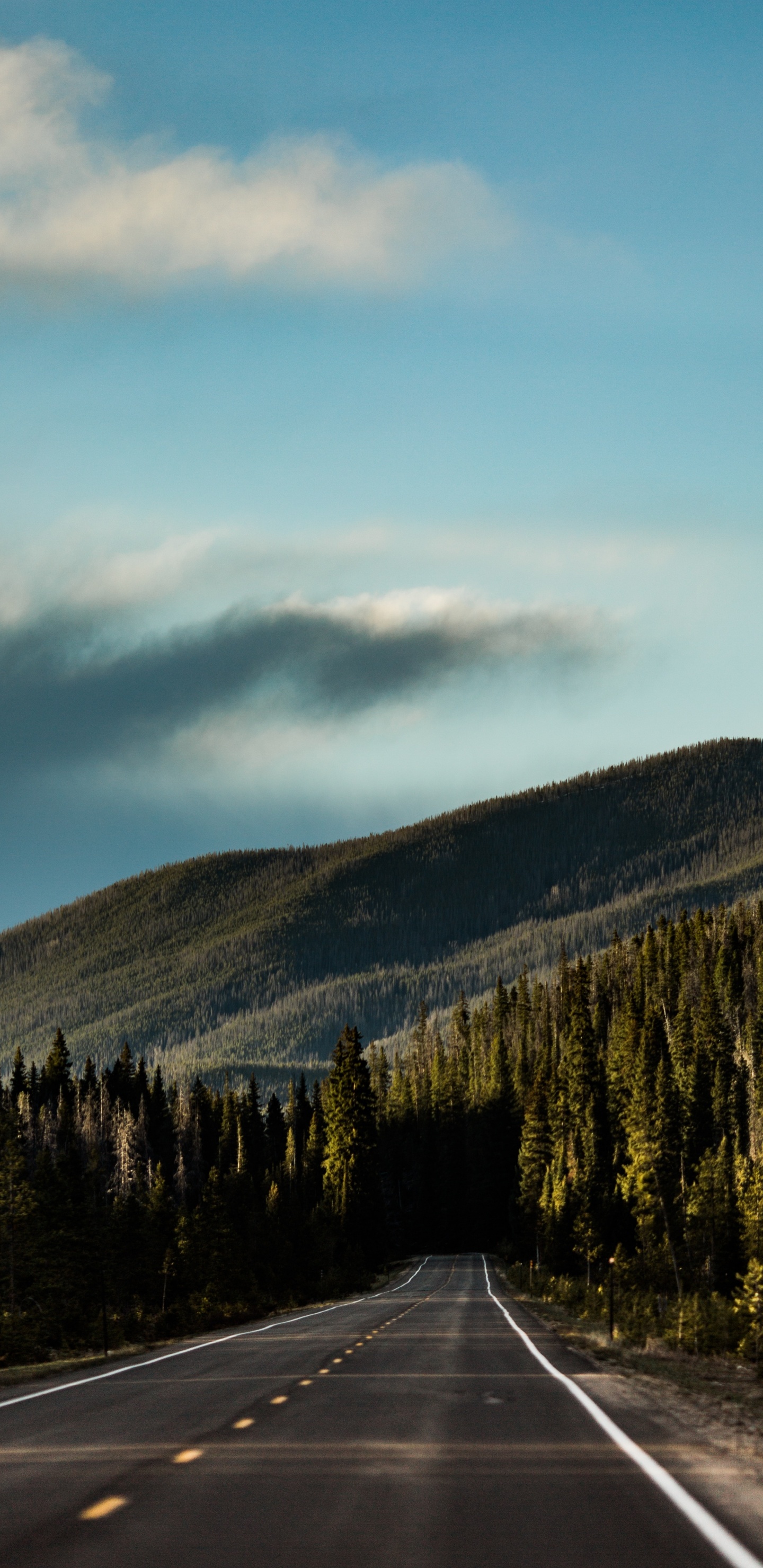 Обои нагорье, облако, гора, горный рельеф, шкура в разрешении 1440x2960