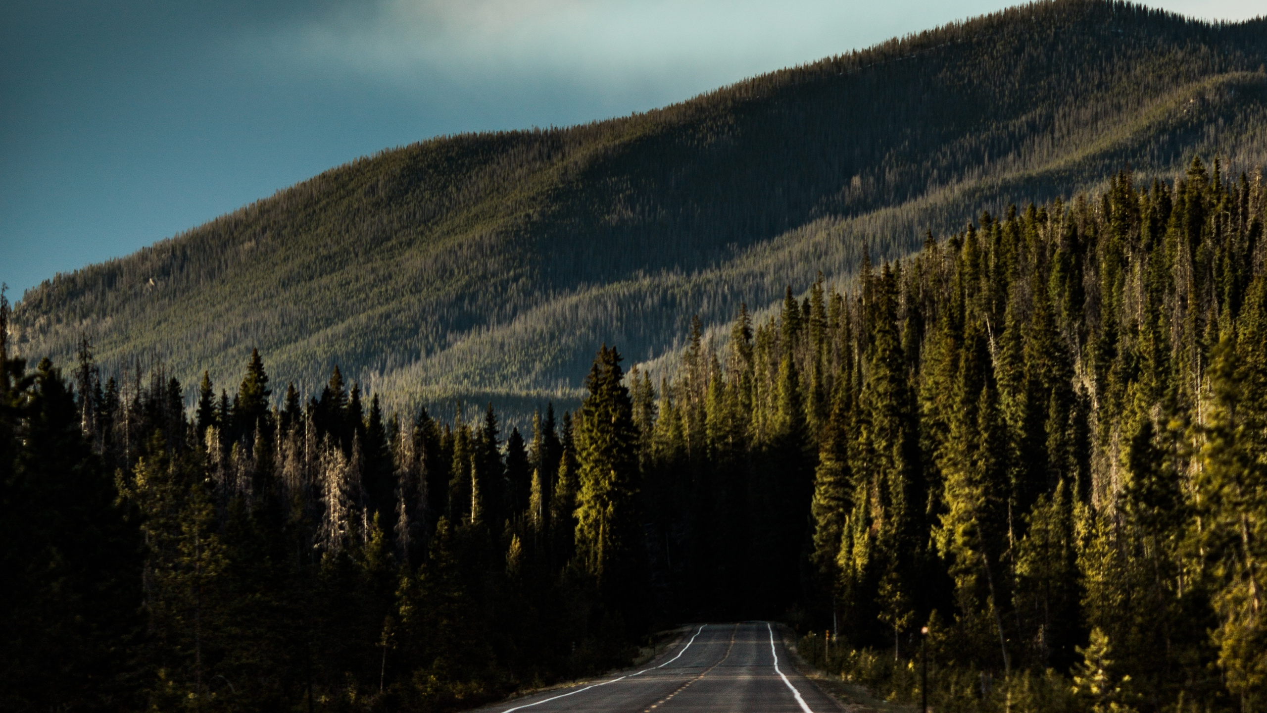 Обои нагорье, облако, гора, горный рельеф, шкура в разрешении 2560x1440