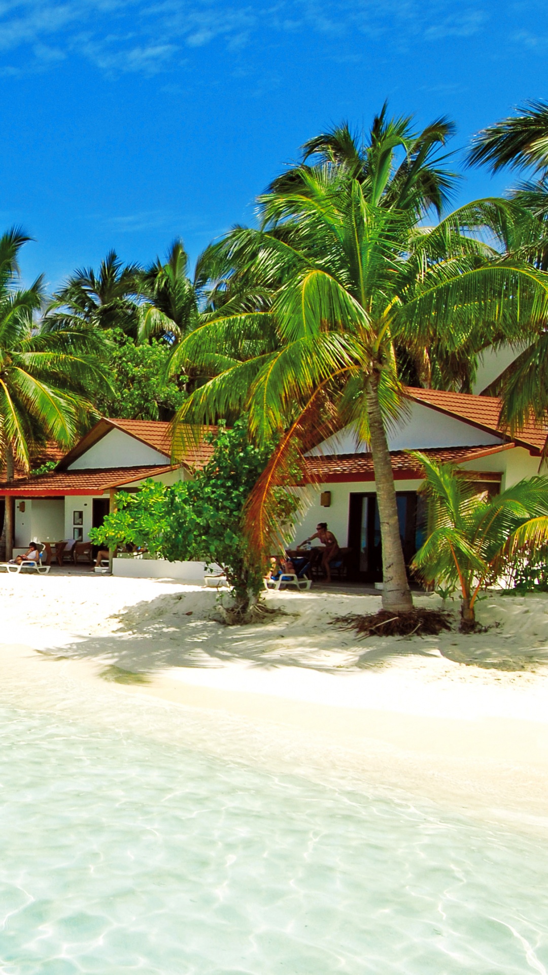 Обои пляж, прибежище, отпуск, тропическая зона, Карибский бассейн в разрешении 1080x1920