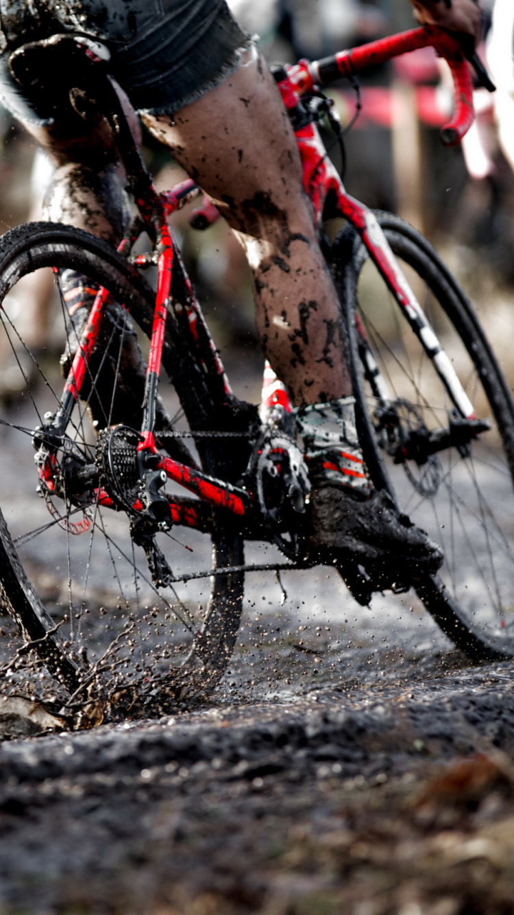 Обои Велоспорт, велосипед, велосипедный спорт, занятие спортом, велокросс в разрешении 750x1334