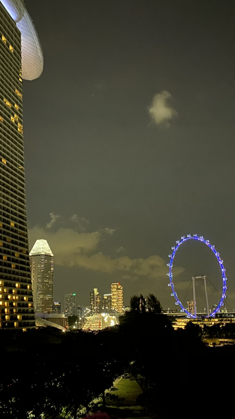 Обои Сингапур, небоскреб, дневное время, башня, ночь в разрешении 750x1334