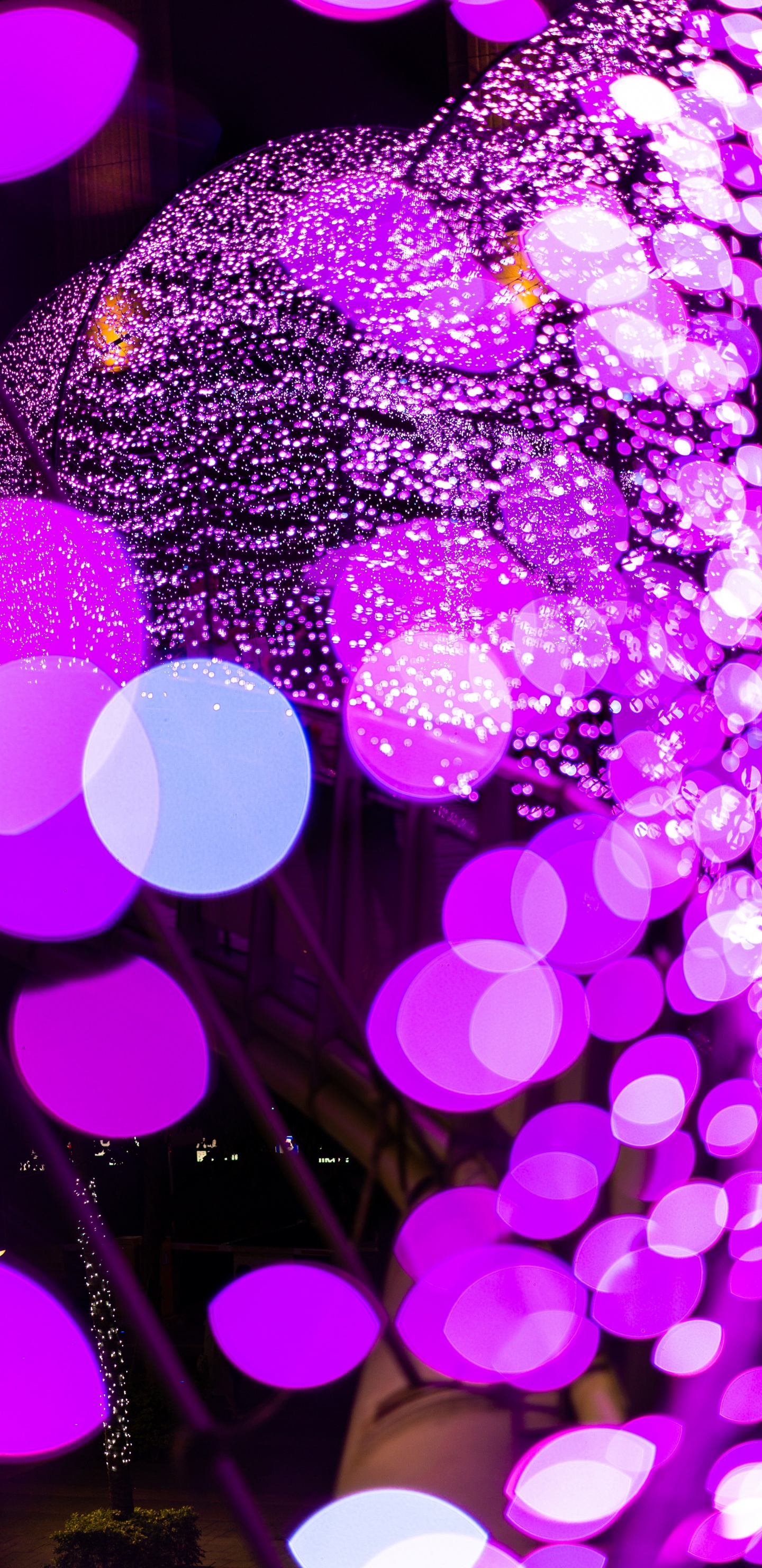 Обои боке, пурпур, Фиолетовый, розовый, свет в разрешении 1440x2960