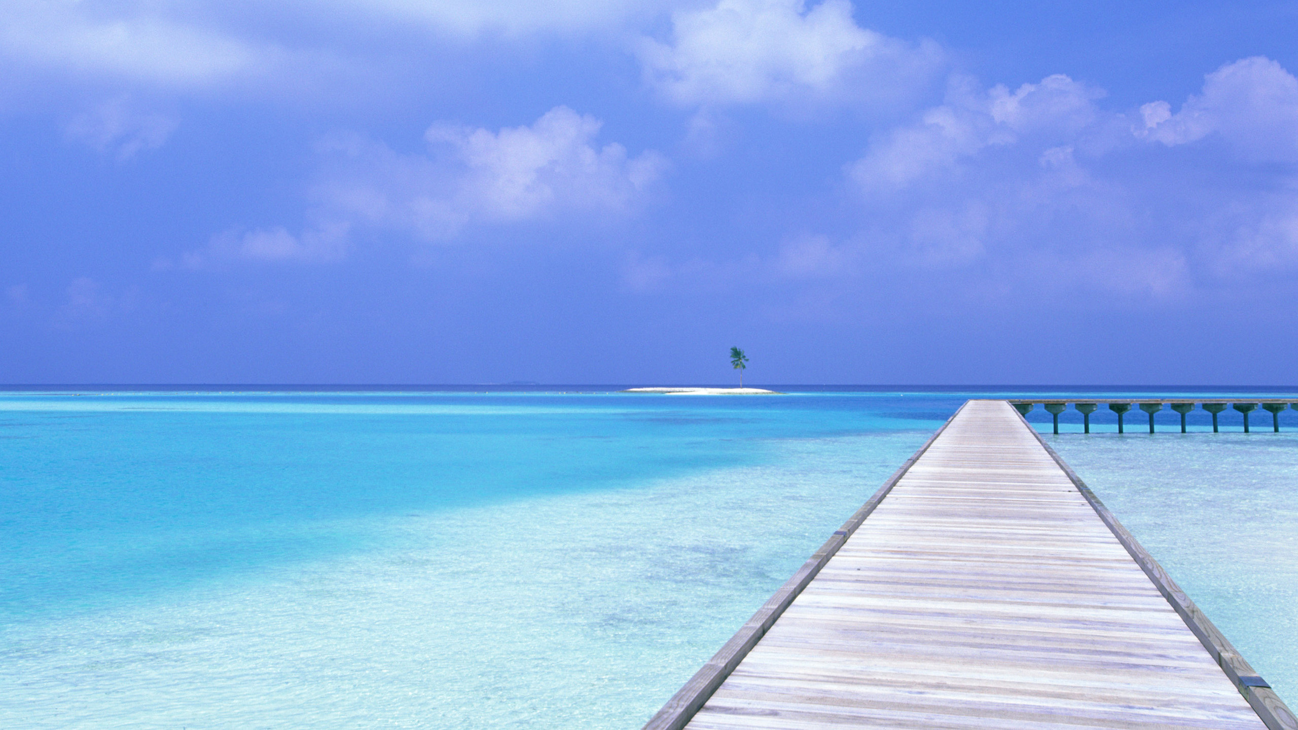 Обои синий, море, океан, горизонт, лазурный в разрешении 2560x1440