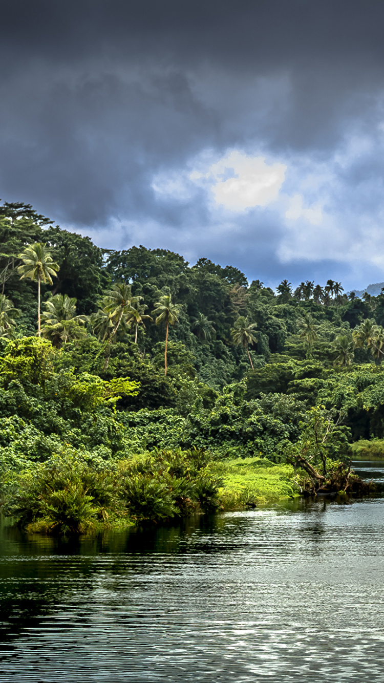 Обои Самоа, природа, водоем, растительность, вода в разрешении 750x1334