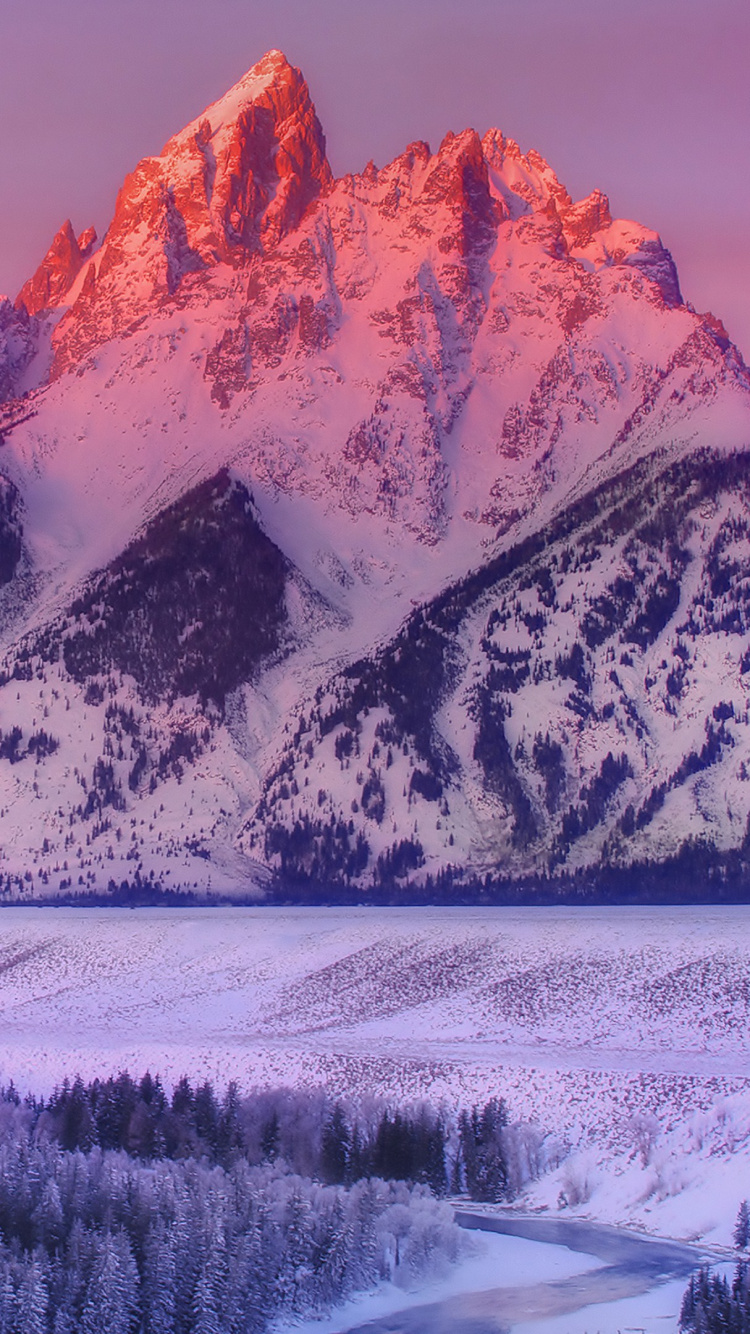 Обои Гранд титон, гора Моран, Река Змеи Выходят, реки снейк, парк в разрешении 750x1334