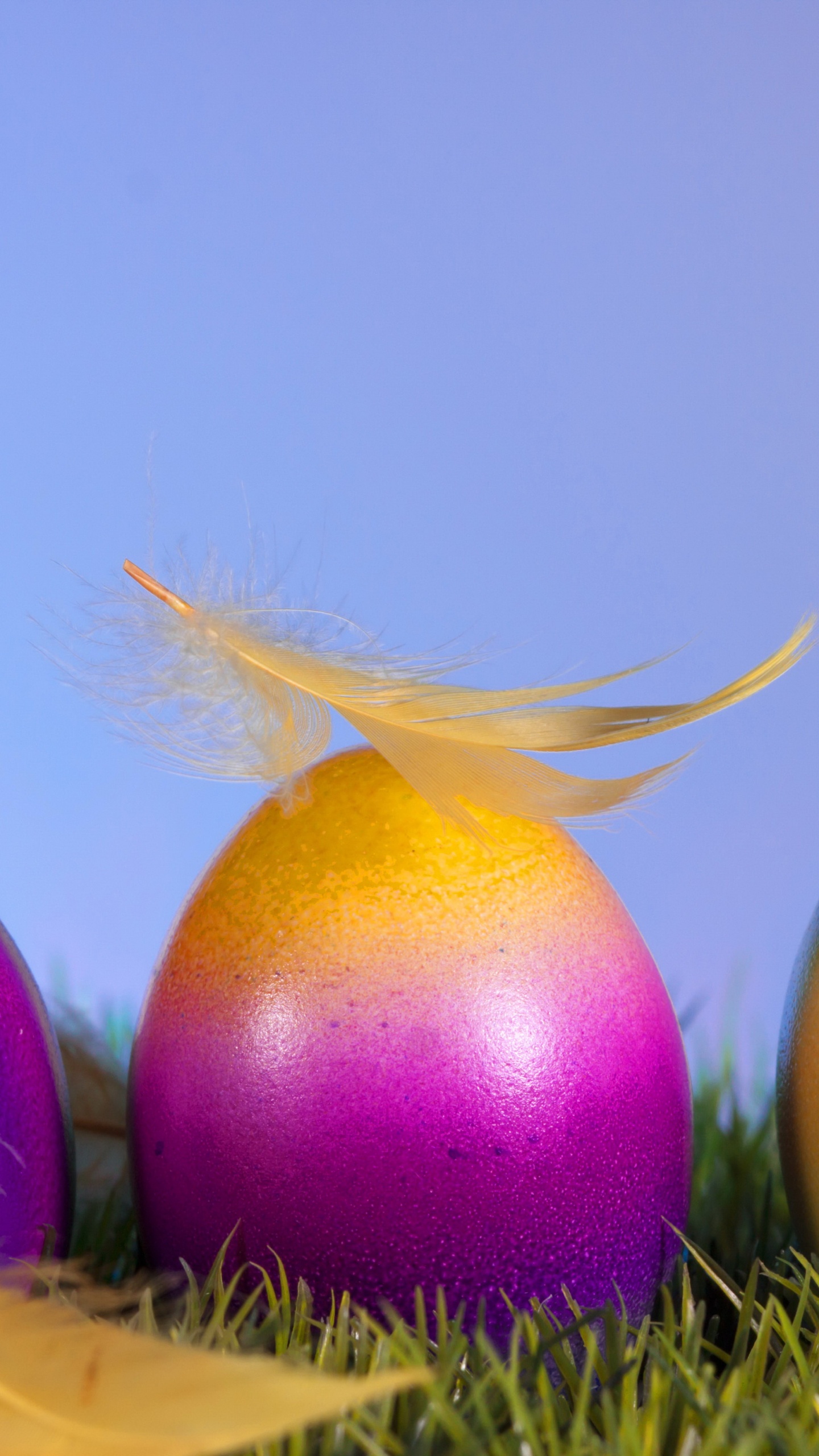 Обои пасха, пасхальное яйцо, праздник, яйцо в разрешении 1440x2560