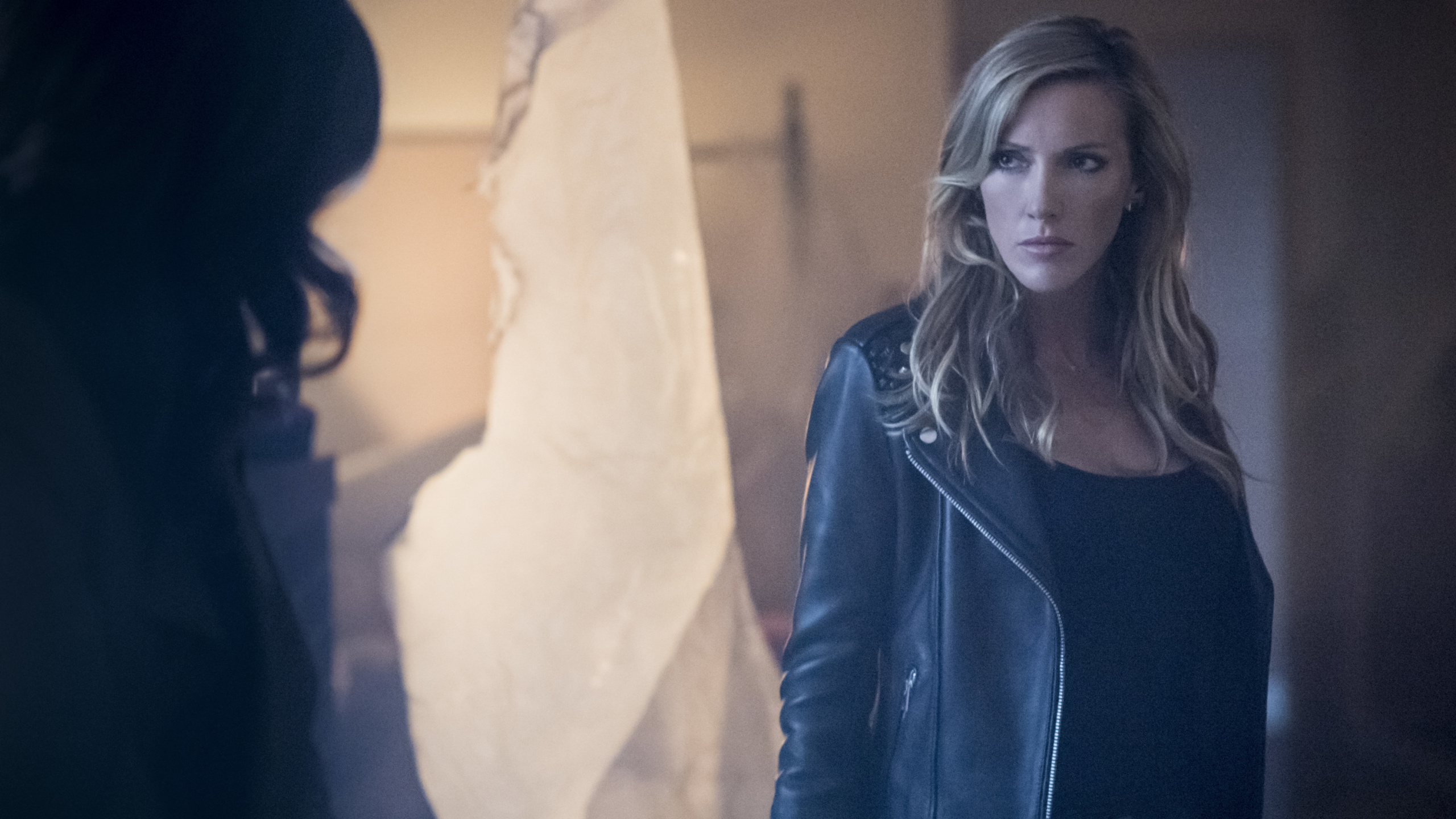 Обои Черная Канарейка, стрелка, Оливер Куин, Лорел Лэнс, Стрела - Сезон 7 в разрешении 2560x1440