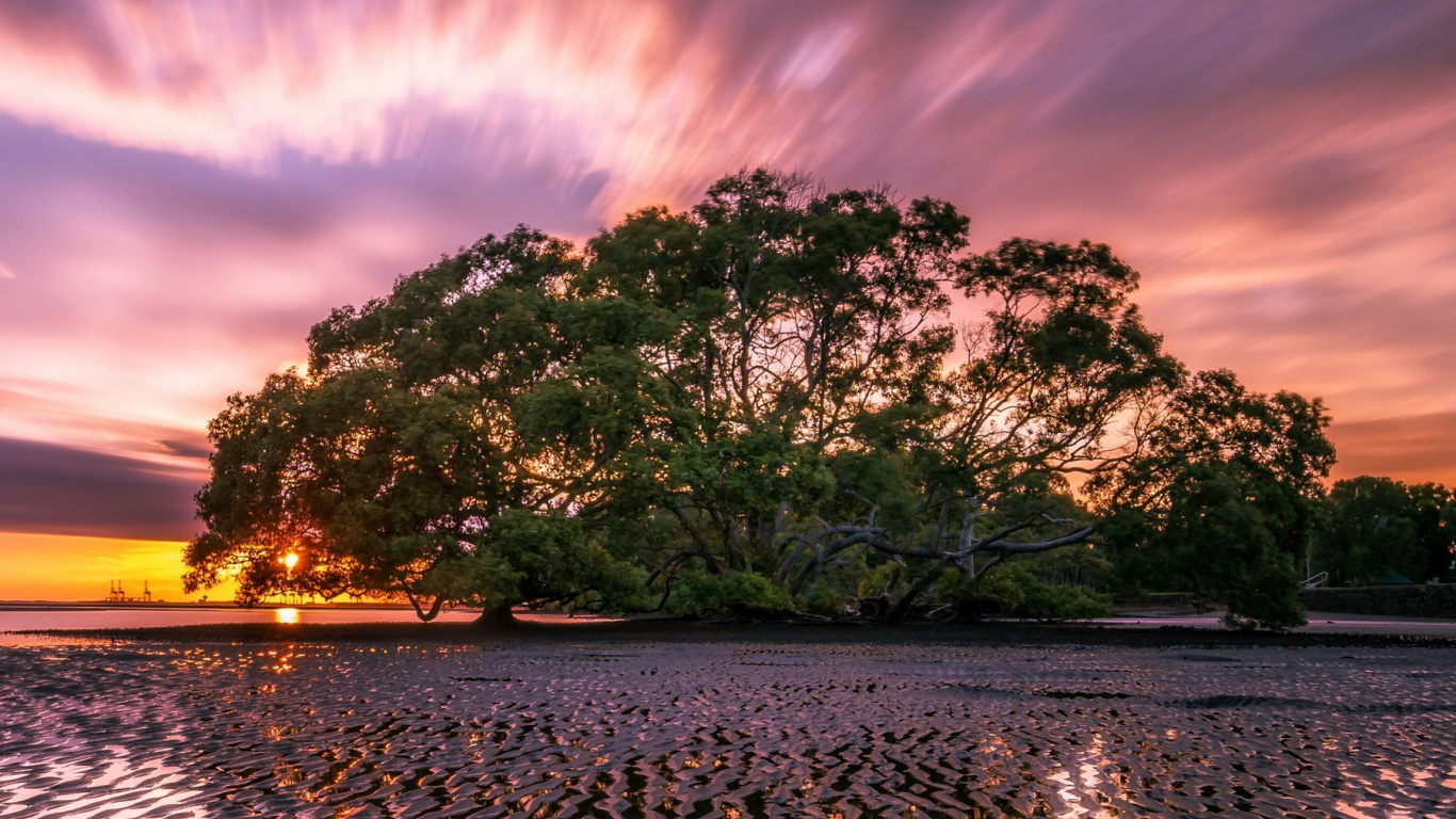 Обои съемный носитель, андроид, смартфон, облако, атмосфера в разрешении 1366x768