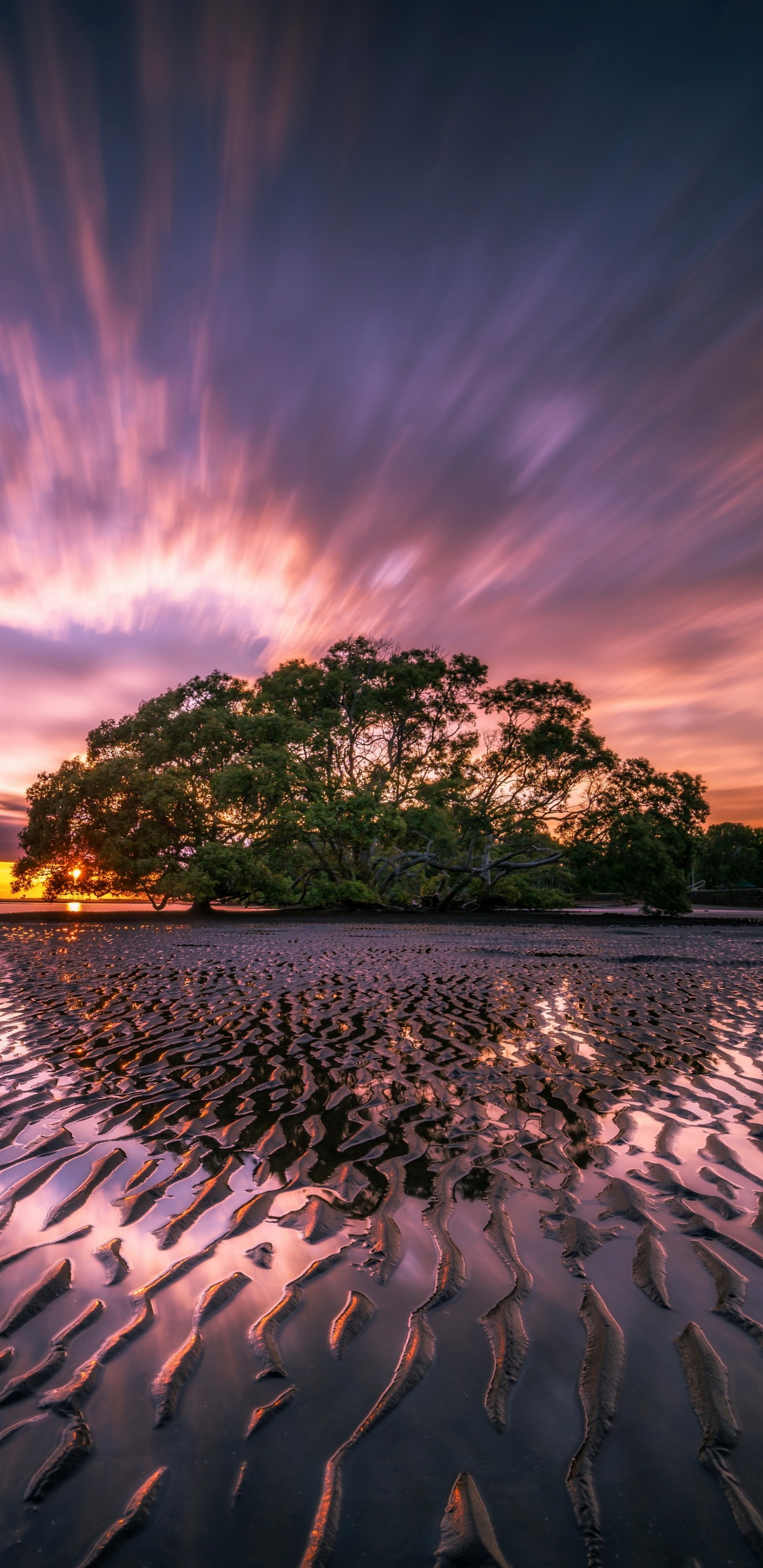 Обои съемный носитель, андроид, смартфон, облако, атмосфера в разрешении 1440x2960