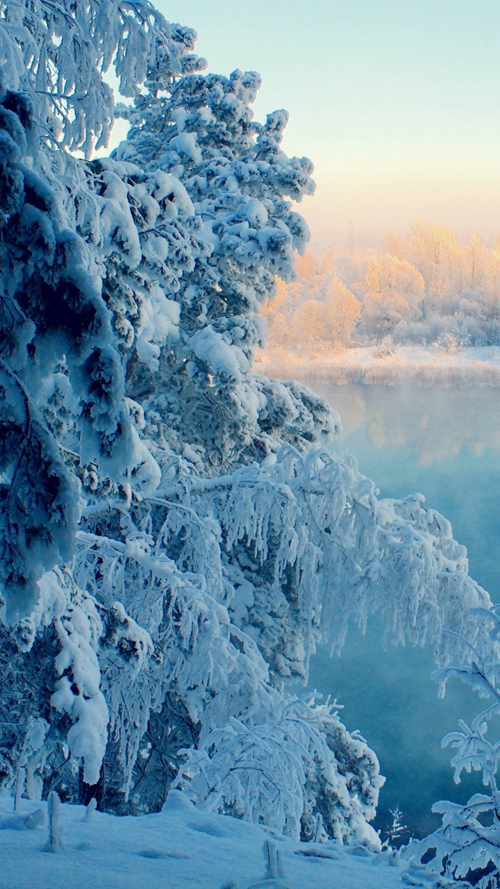 Обои природа, зима, замораживание, вода, мороз в разрешении 720x1280