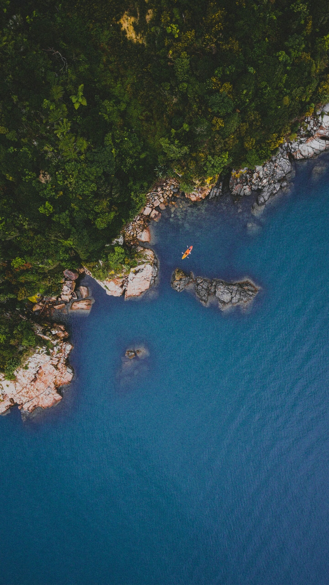 Обои гидроресурсы, телевидение, вода, растение, природный ландшафт в разрешении 1080x1920